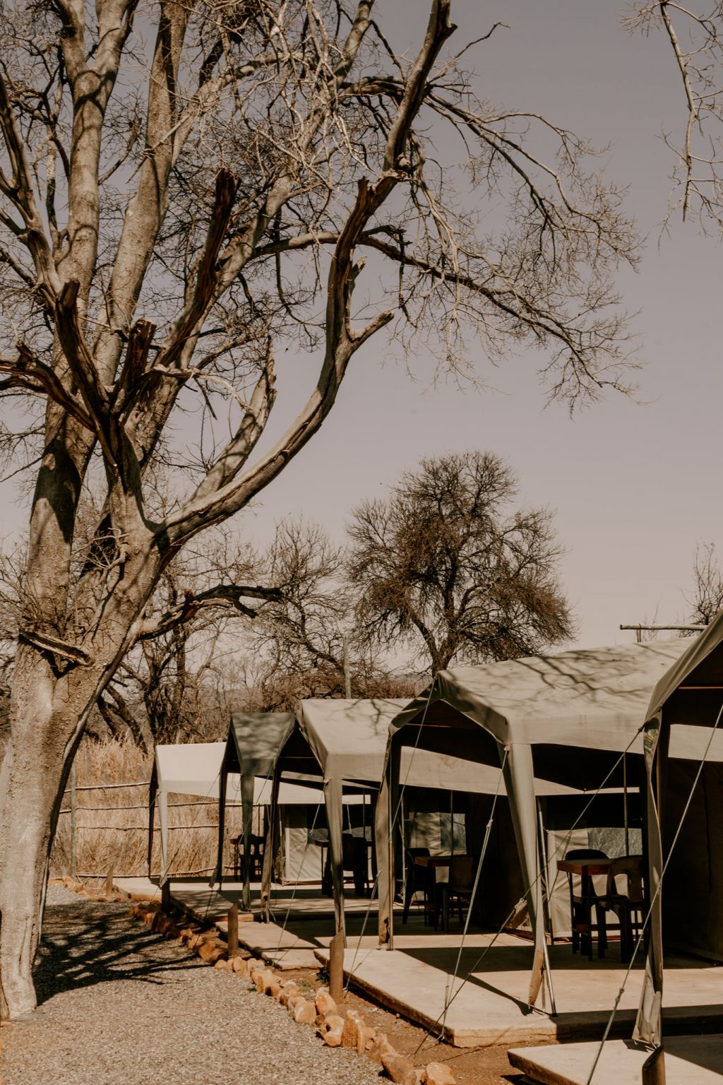 Woodland venue - 2